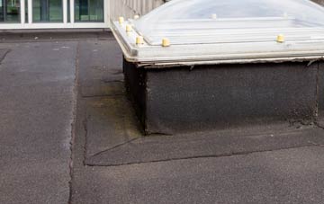 disadvantages of Danemoor Green flat roofs