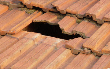 roof repair Danemoor Green, Norfolk