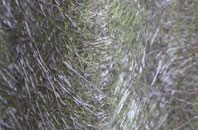 Danemoor Green fibreglass roof work